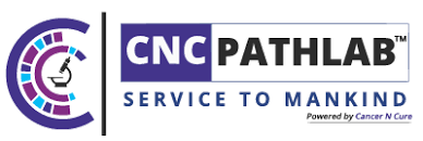 CNC Path Lab logo